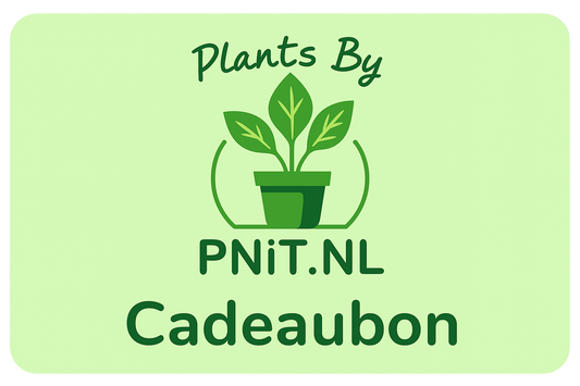 Gift Card Plants By PNiT.nl