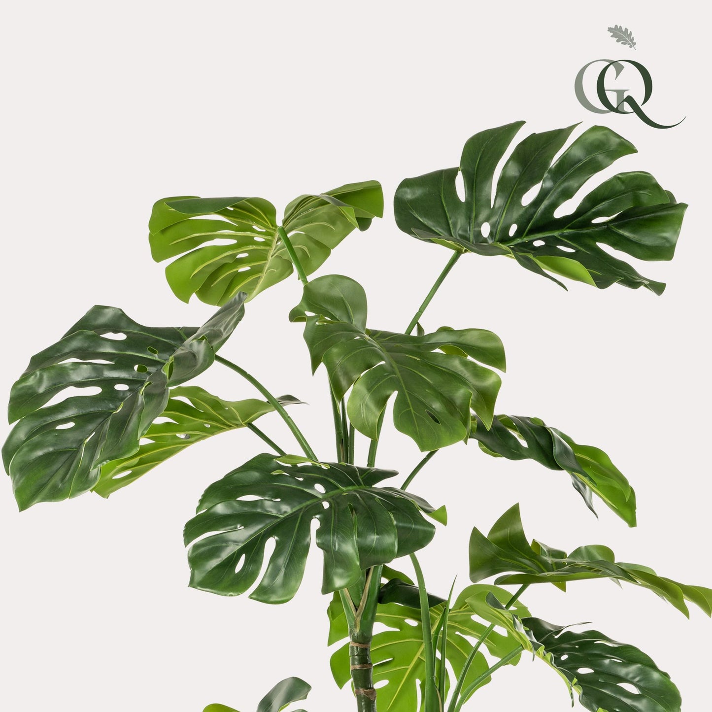 Monstera - Gatenplant | ↕180cm - kunstplant