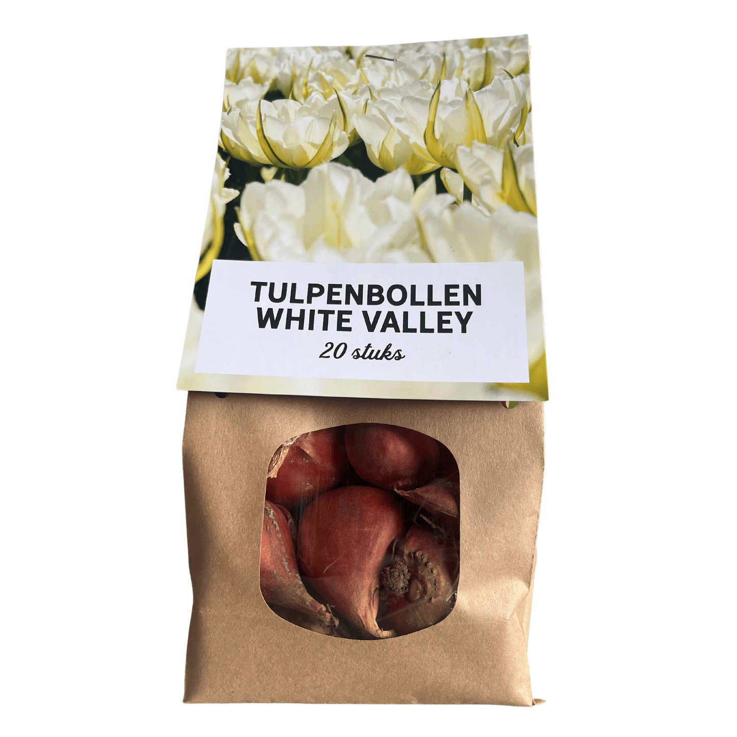 20x Tulpenbollen White Valley – Witte Tulp