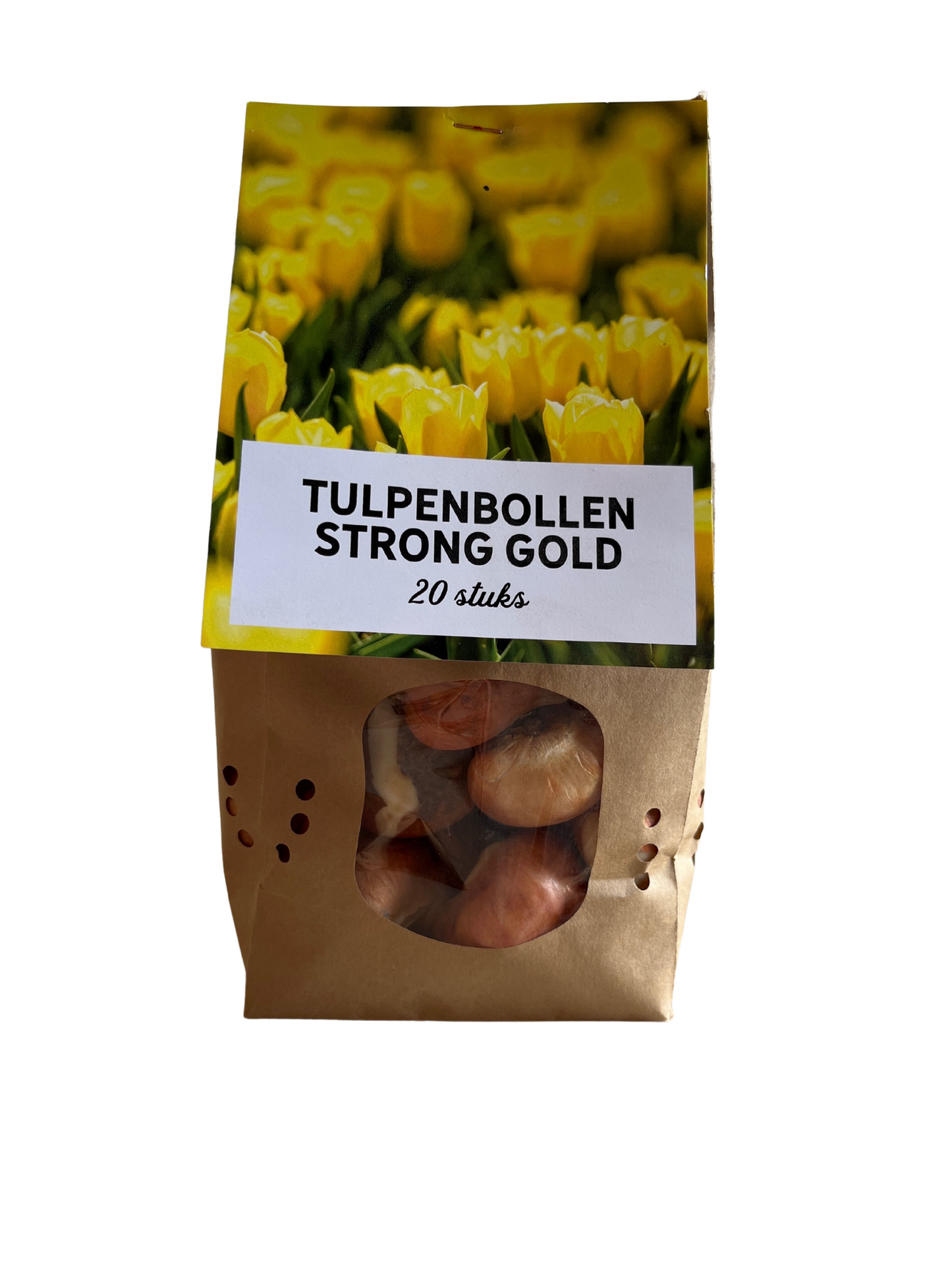 20x Tulpenbollen Strong Gold – Gele Tulp