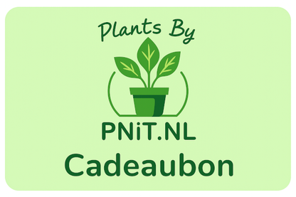 Cadeaubon Plants By PNiT.nl