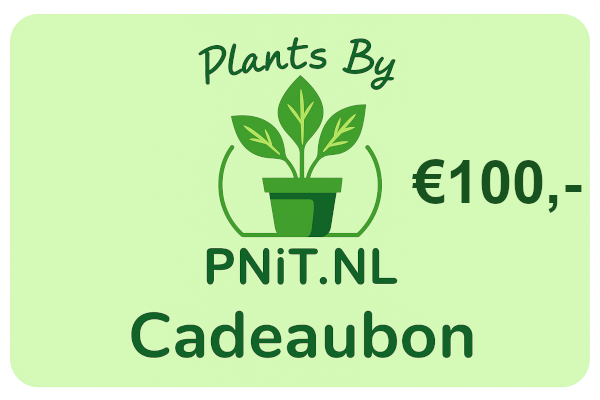 Cadeaubon Plants By PNiT.nl