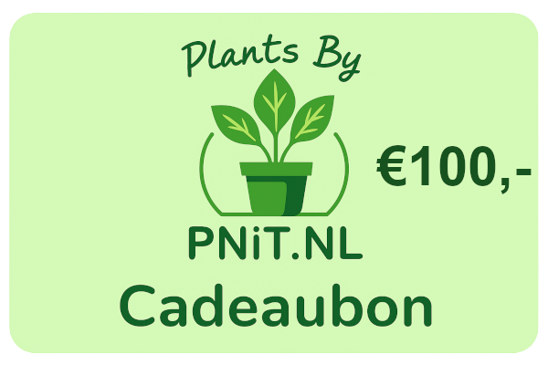 Cadeaubon Plants By PNiT.nl