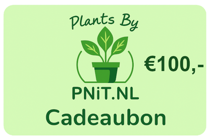 Geschenkkarte Pflanzen von PNiT.nl