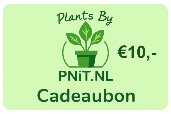 Cadeaubon Plants By PNiT.nl