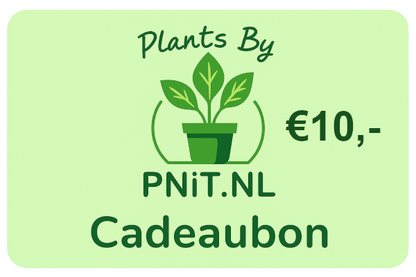 Geschenkkarte Pflanzen von PNiT.nl