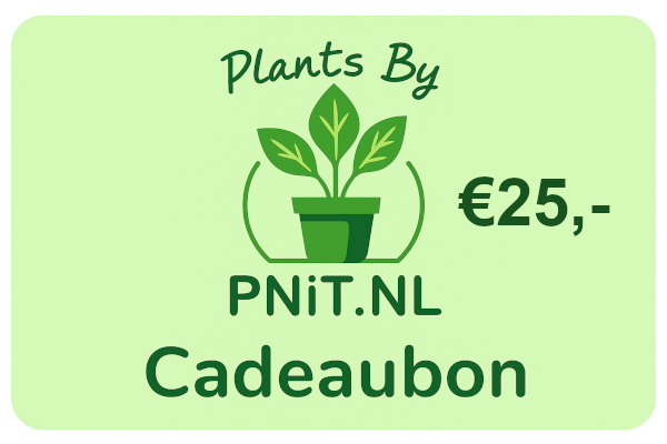 Cadeaubon Plants By PNiT.nl