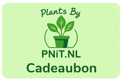 Geschenkkarte Pflanzen von PNiT.nl