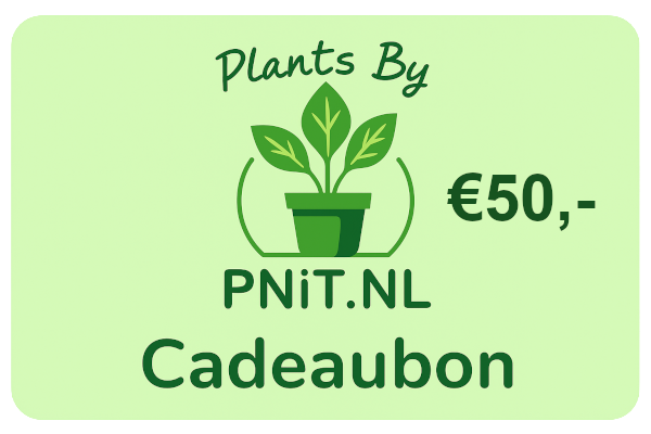 Cadeaubon Plants By PNiT.nl