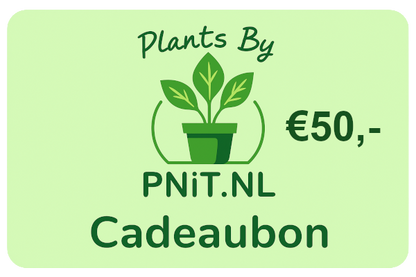 Geschenkkarte Pflanzen von PNiT.nl