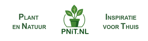 PNIT