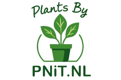 PNIT