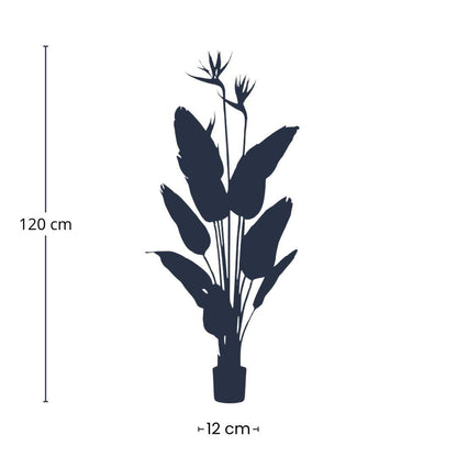 Strelitzia met bloemen | ↕120cm - In zwarte pot - Kunstplant