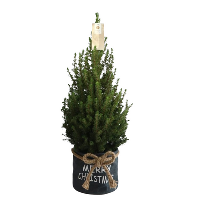 Kleine Kerstboom in Xmas Bag blauw - 70 cm - zonder decoratie