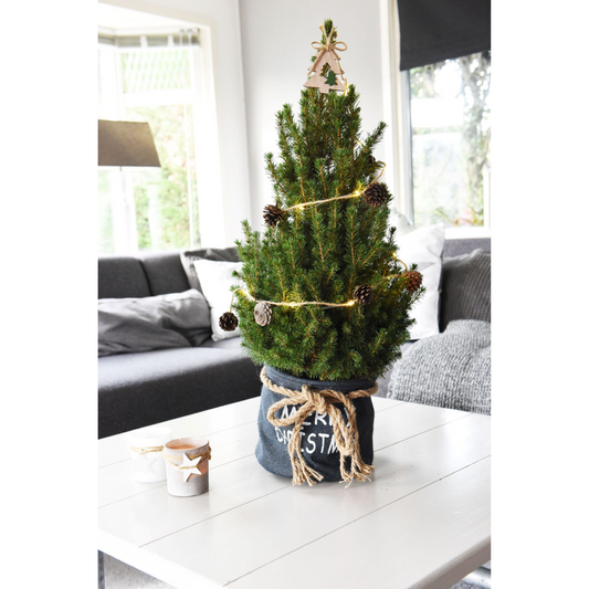 Kleine Kerstboom in Xmas Bag blauw - 70 cm - ster piek- inclusief batterijen