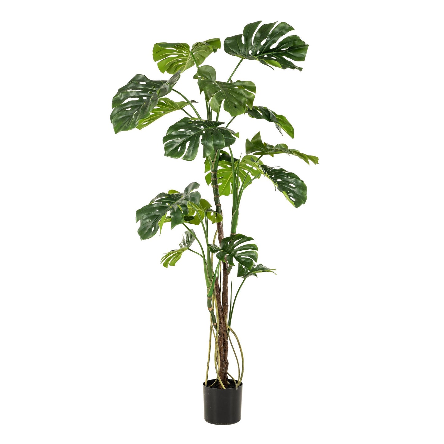 Monstera  - Gatenplant | ↕180cm - kunstplant