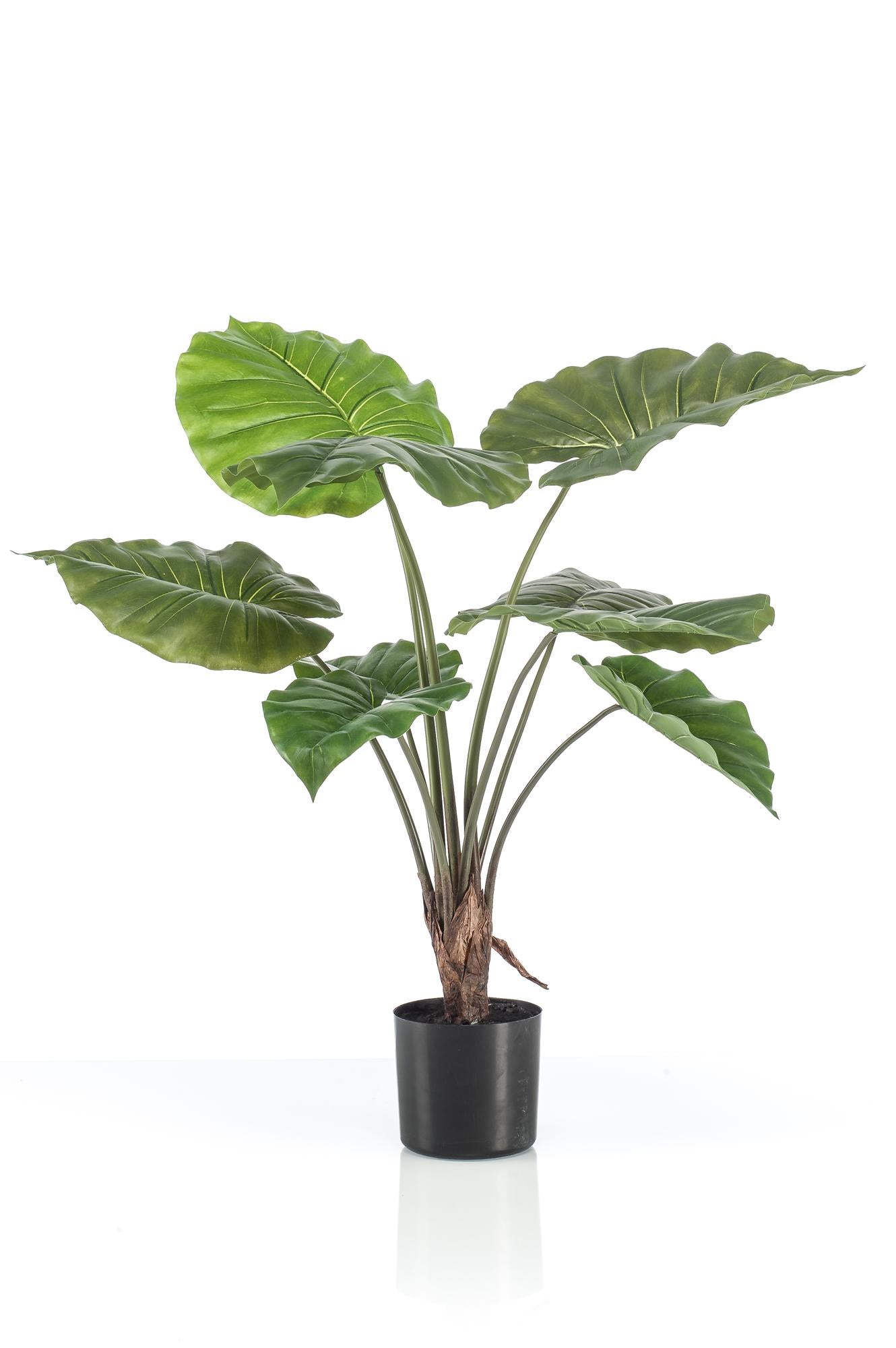Alocasia - Olifantsoor | ↕70 cm - Kunstplant
