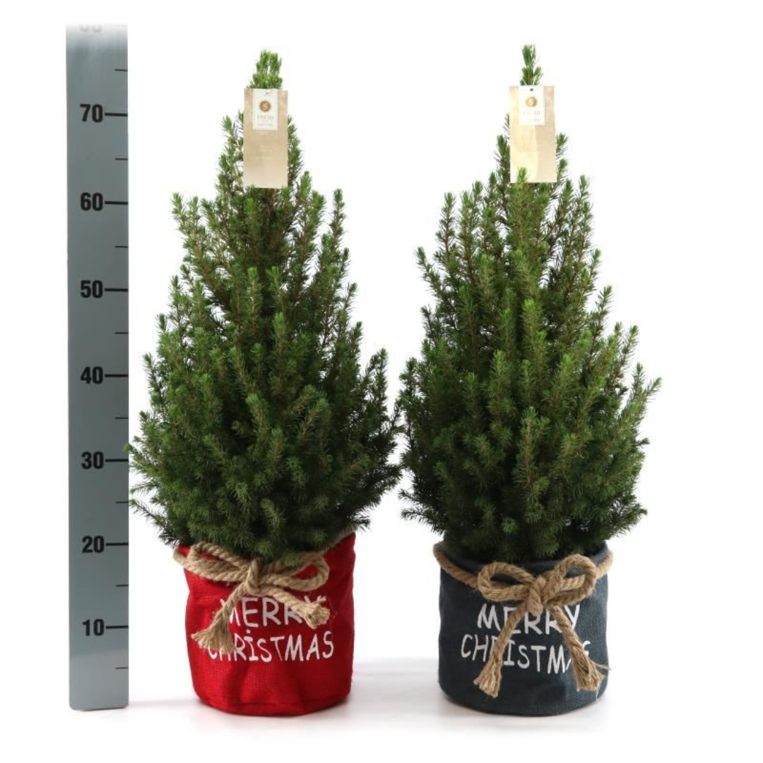 Kleine Kerstboom in Xmas Bag rood - 70 cm - zonder decoratie
