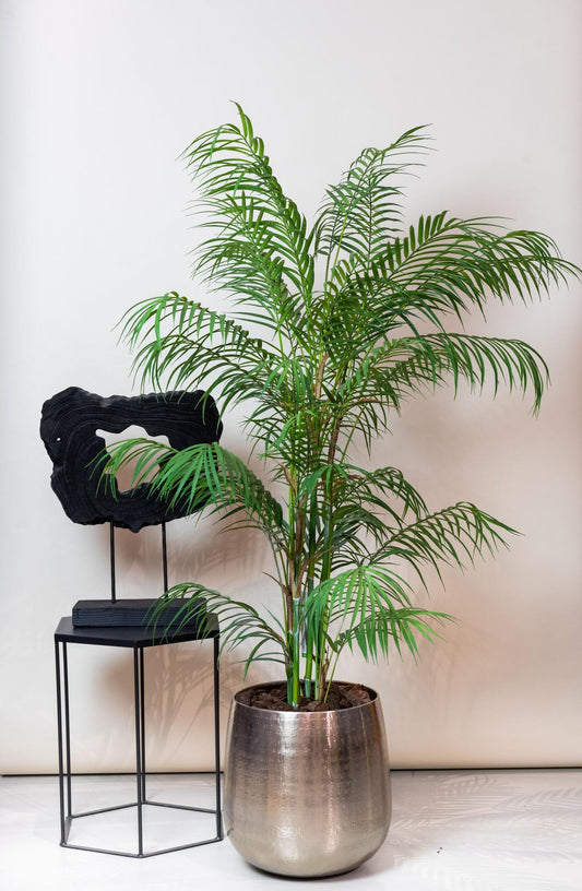 Chamaedorea Elegans - Bergpalm | ↕120 cm - Kunstplant