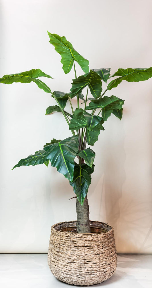 Alocasia - Olifantsoor | ↕150 cm - Kunstplant