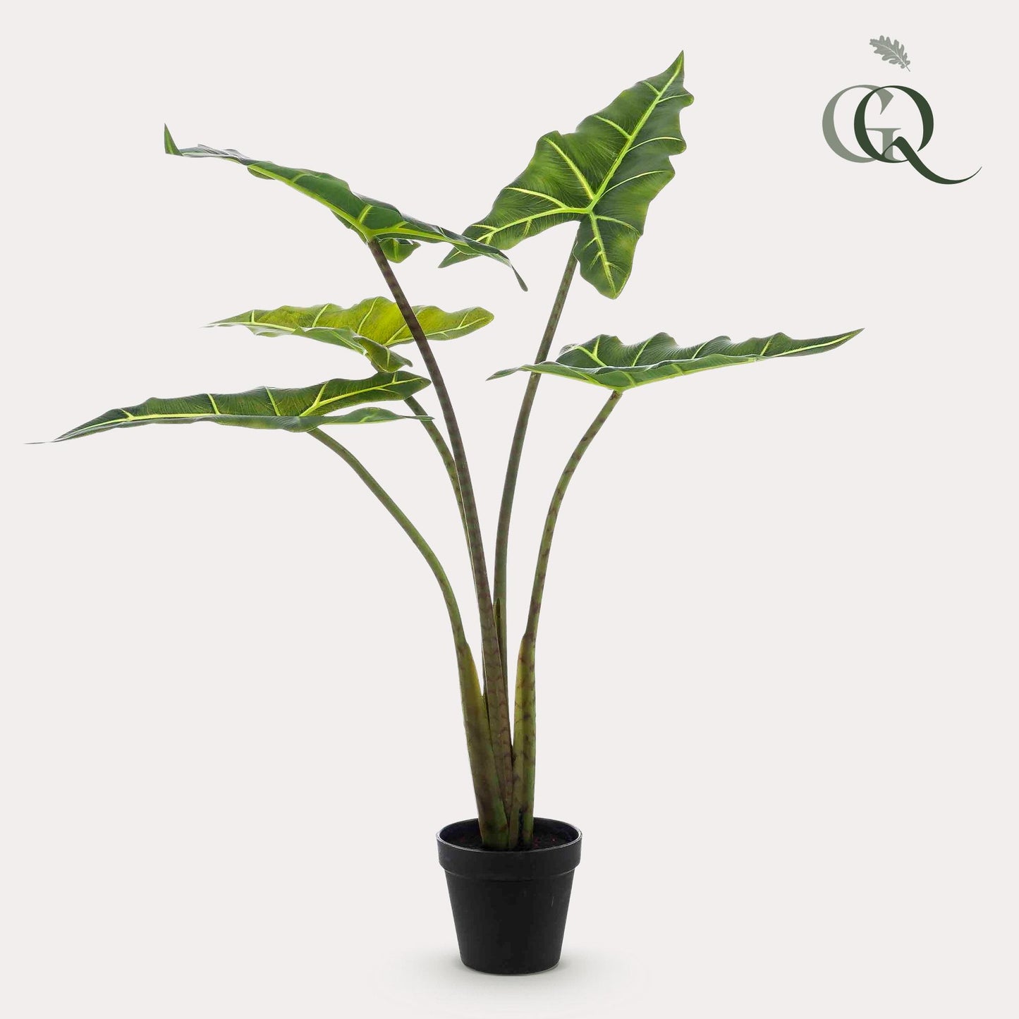 Alocasia Frydek - Olifantsoor | ↕80 cm - Kunstplant
