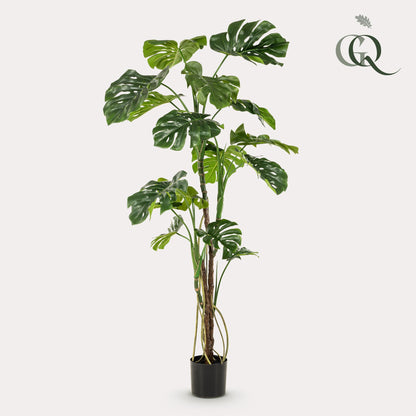 Monstera  - Gatenplant | ↕180cm - kunstplant