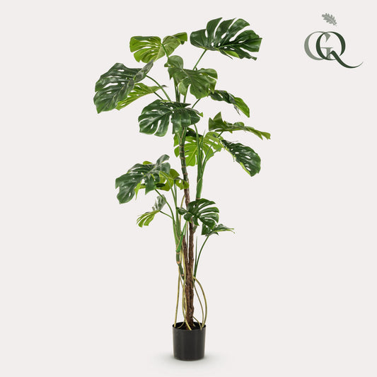 Monstera  - Gatenplant | ↕180cm - kunstplant