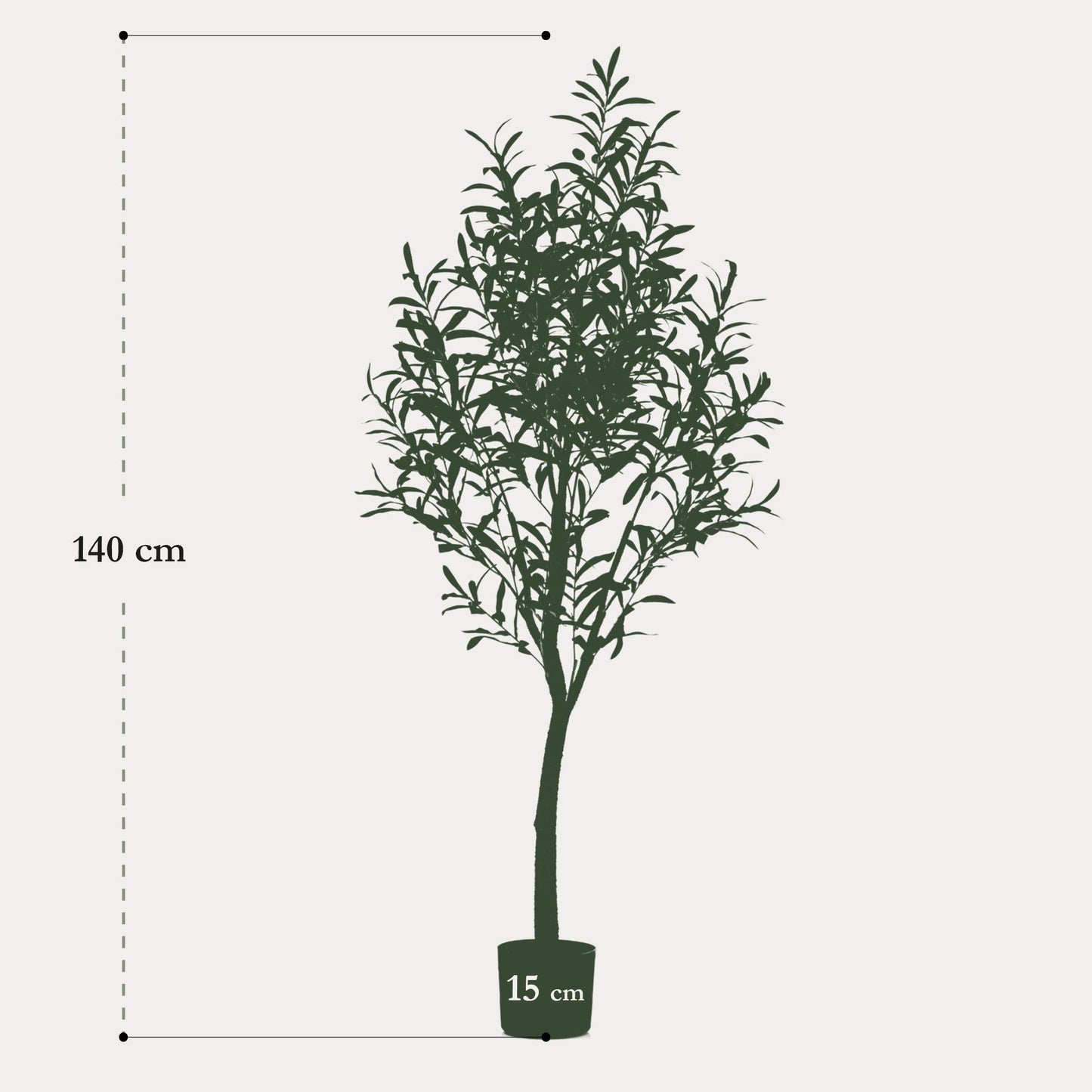 Olea europaea - Olijfboom | ↕140 cm -Kunst Olijfboom
