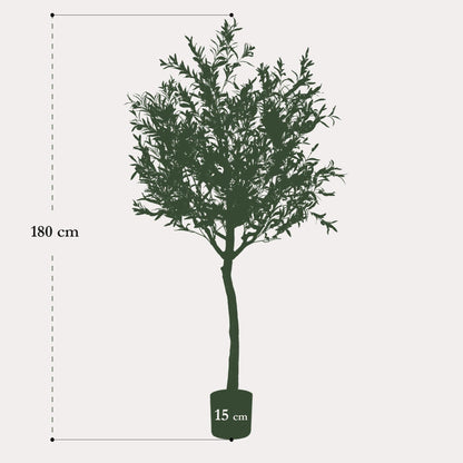 Olea europaea - Olijfboom | ↕180 cm Kunst Olijfboom