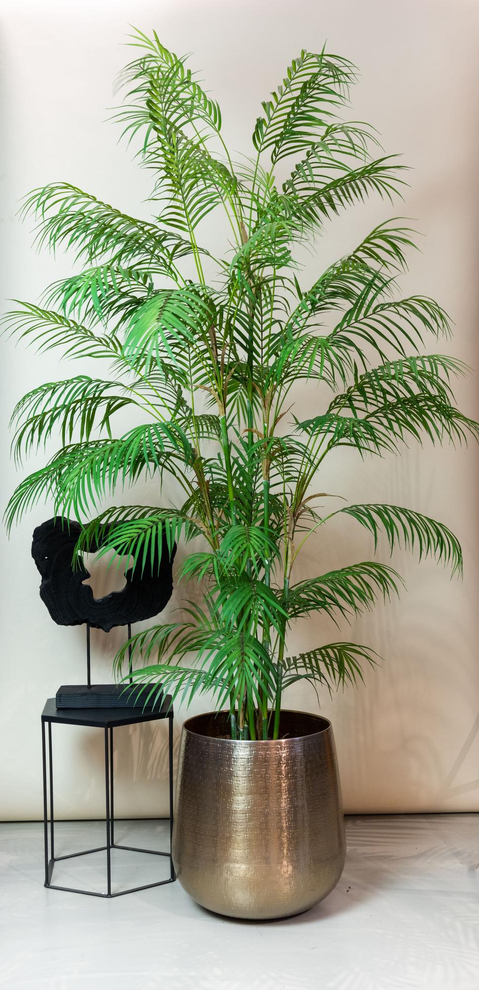 Chamaedorea Elegans - Bergpalm | ↕180 cm - Kunstplant