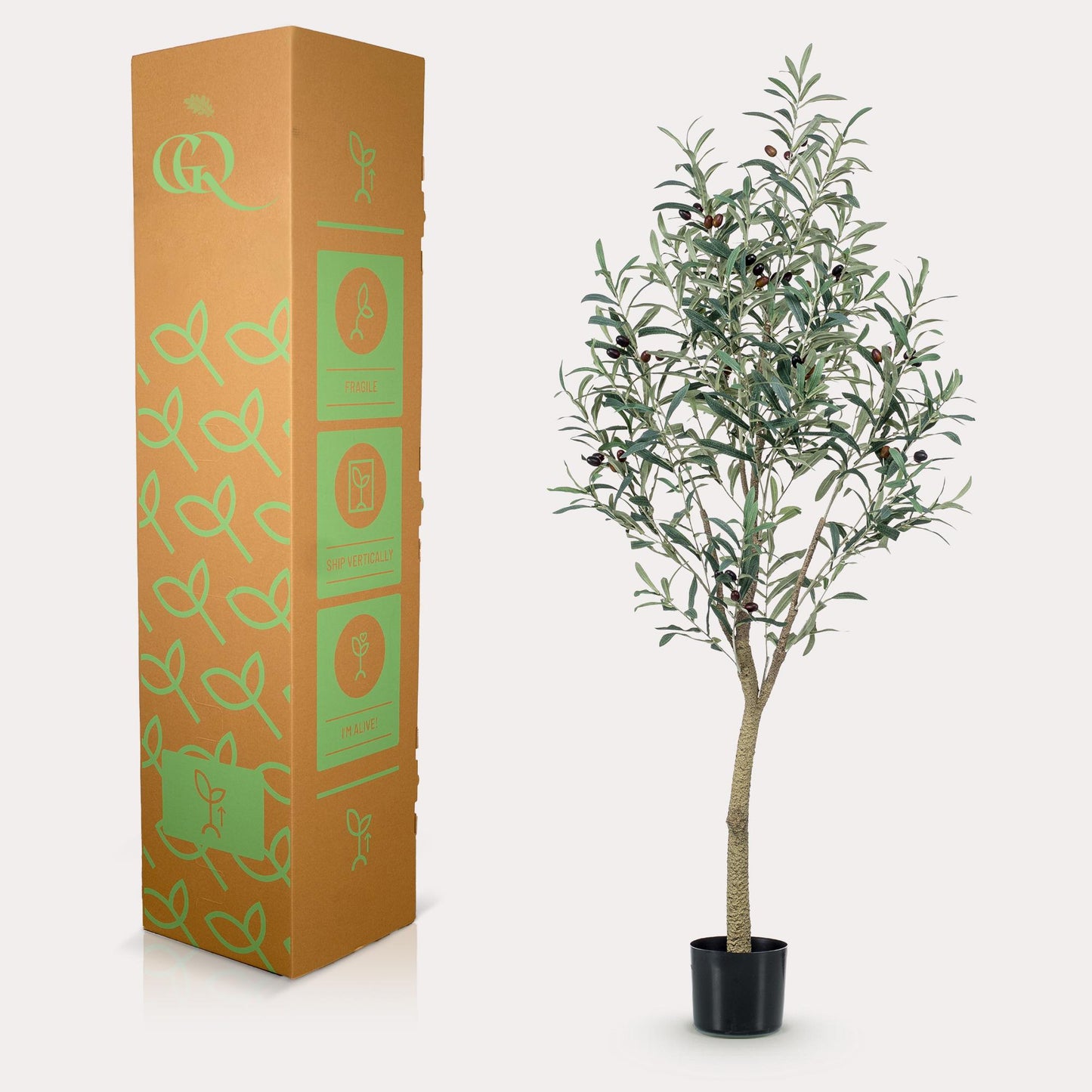 Olea europaea - Olijfboom | ↕140 cm -Kunst Olijfboom