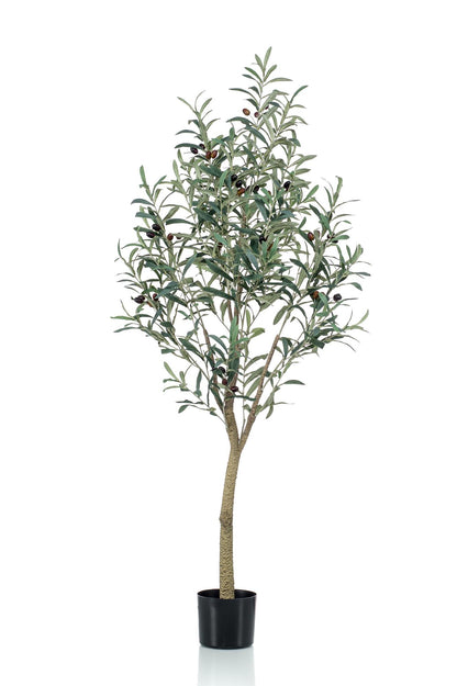 Olea europaea - Olijfboom | ↕140 cm -Kunst Olijfboom
