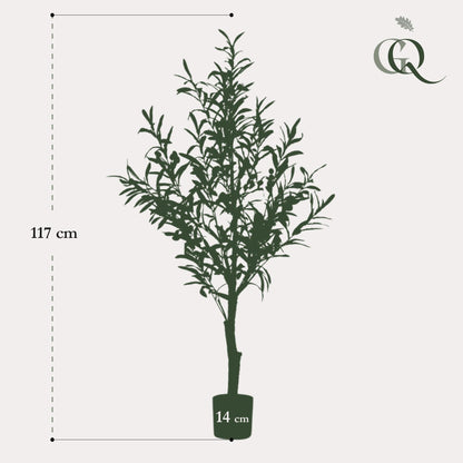 Olea europaea - Olijfboom | ↕115 cm - Kunst Olijfboom