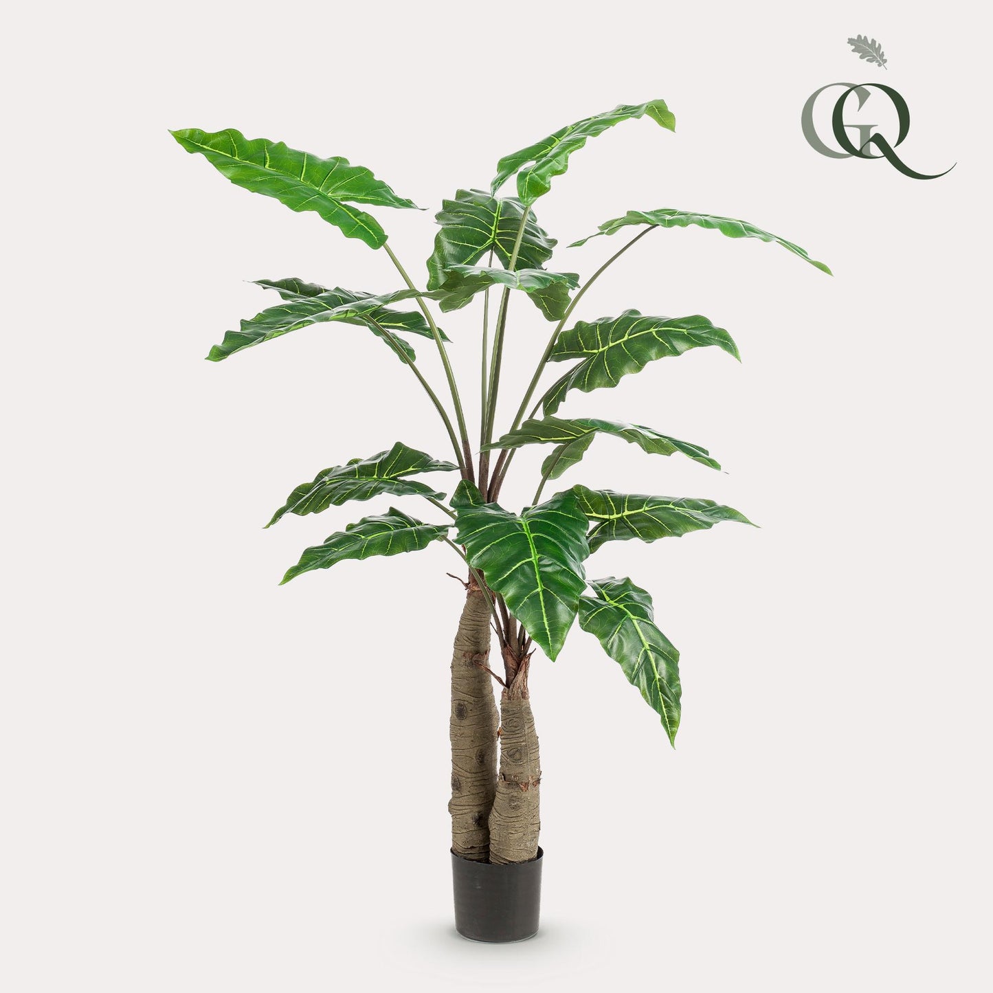 Alocasia - Olifantsoor | ↕150 cm - Kunstplant