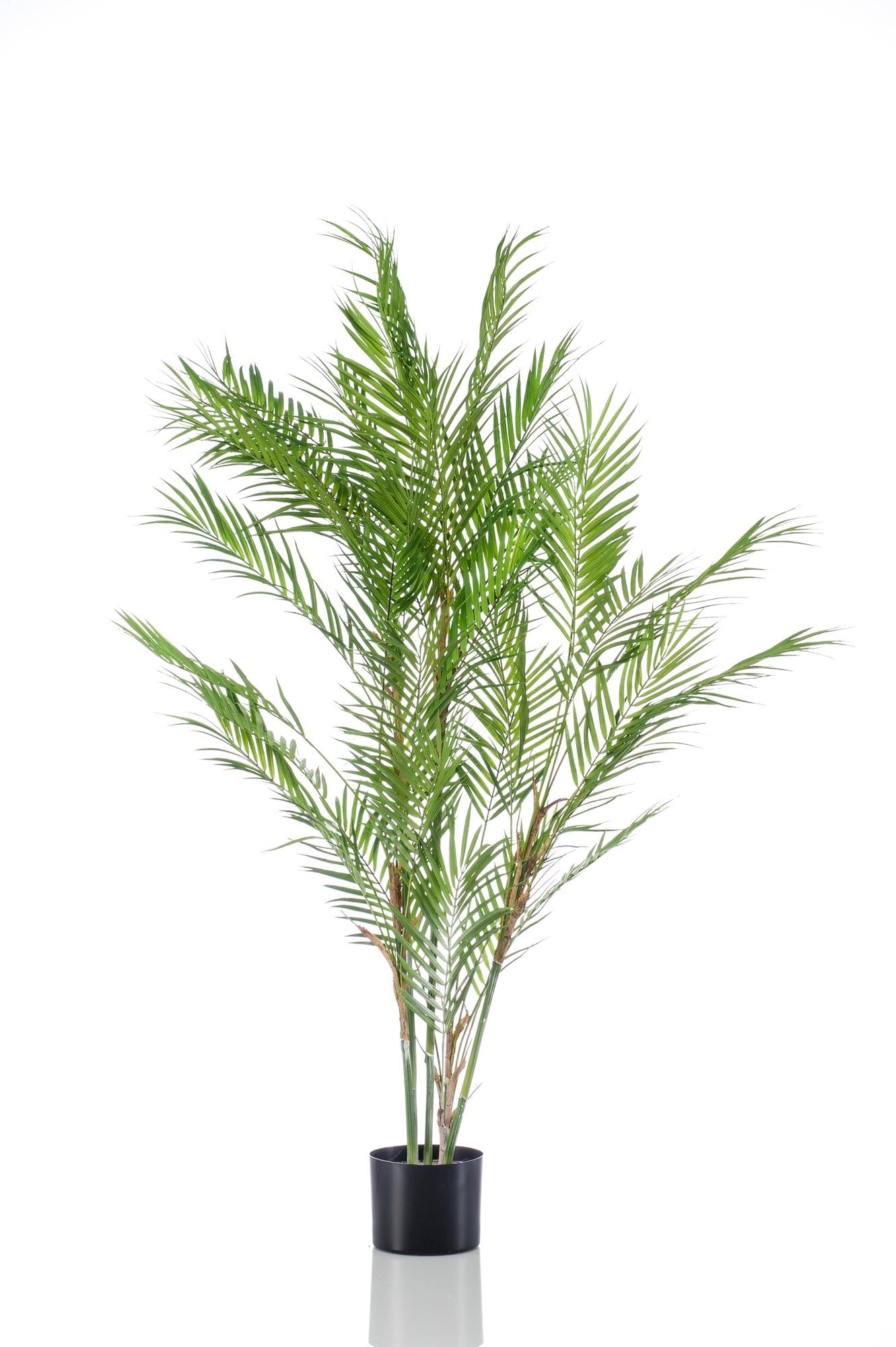 Chamaedorea Elegans - Bergpalm | ↕120 cm - Kunstplant