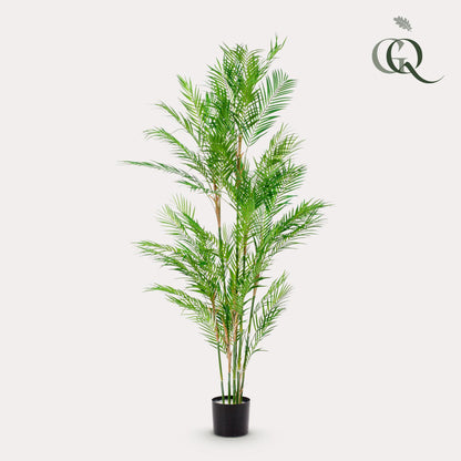 Chamaedorea Elegans - Bergpalm | ↕180 cm - Kunstplant
