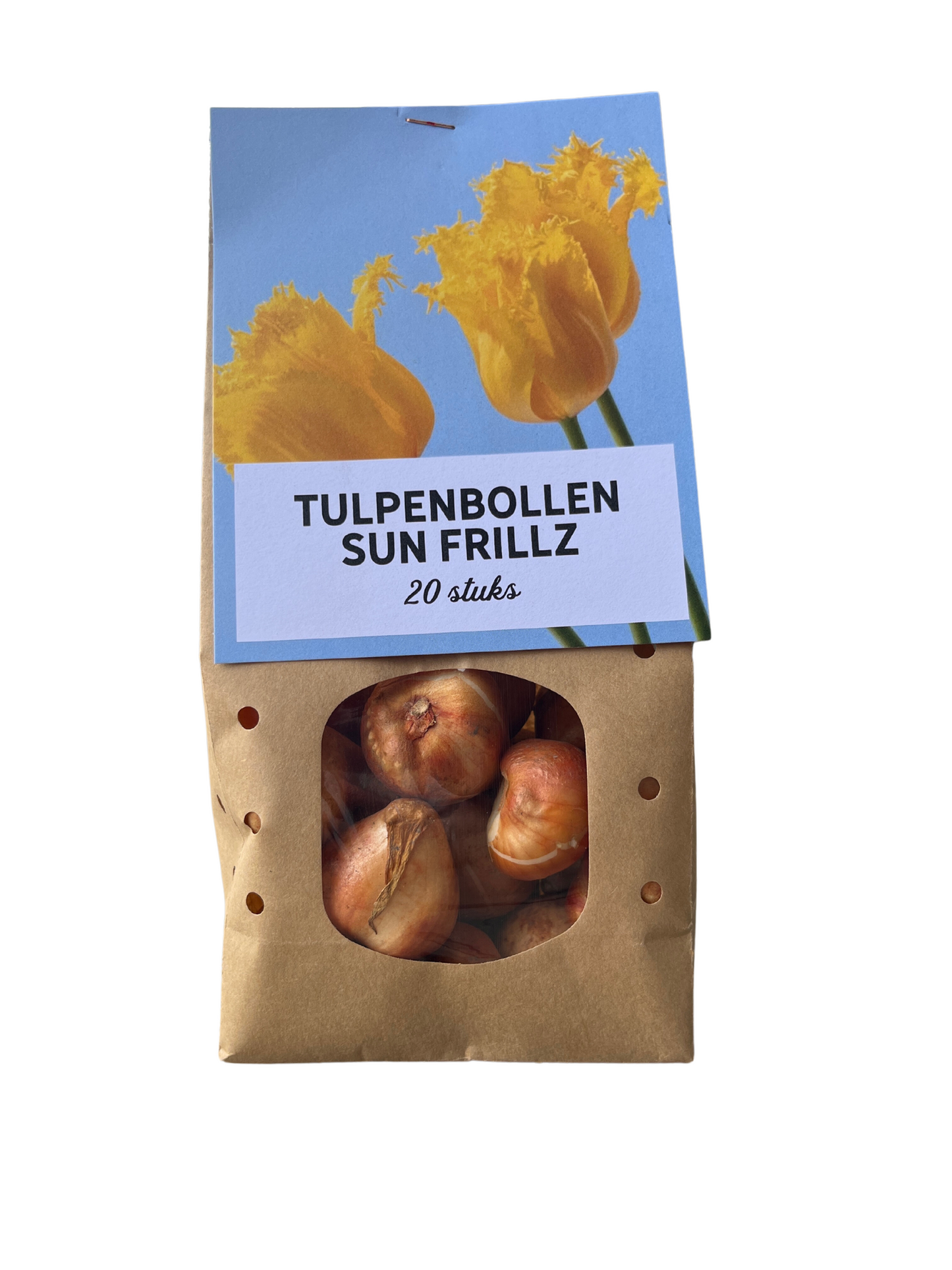 20x Tulpenbollen Sun Frillz – Gele Tulp met Kartelrand