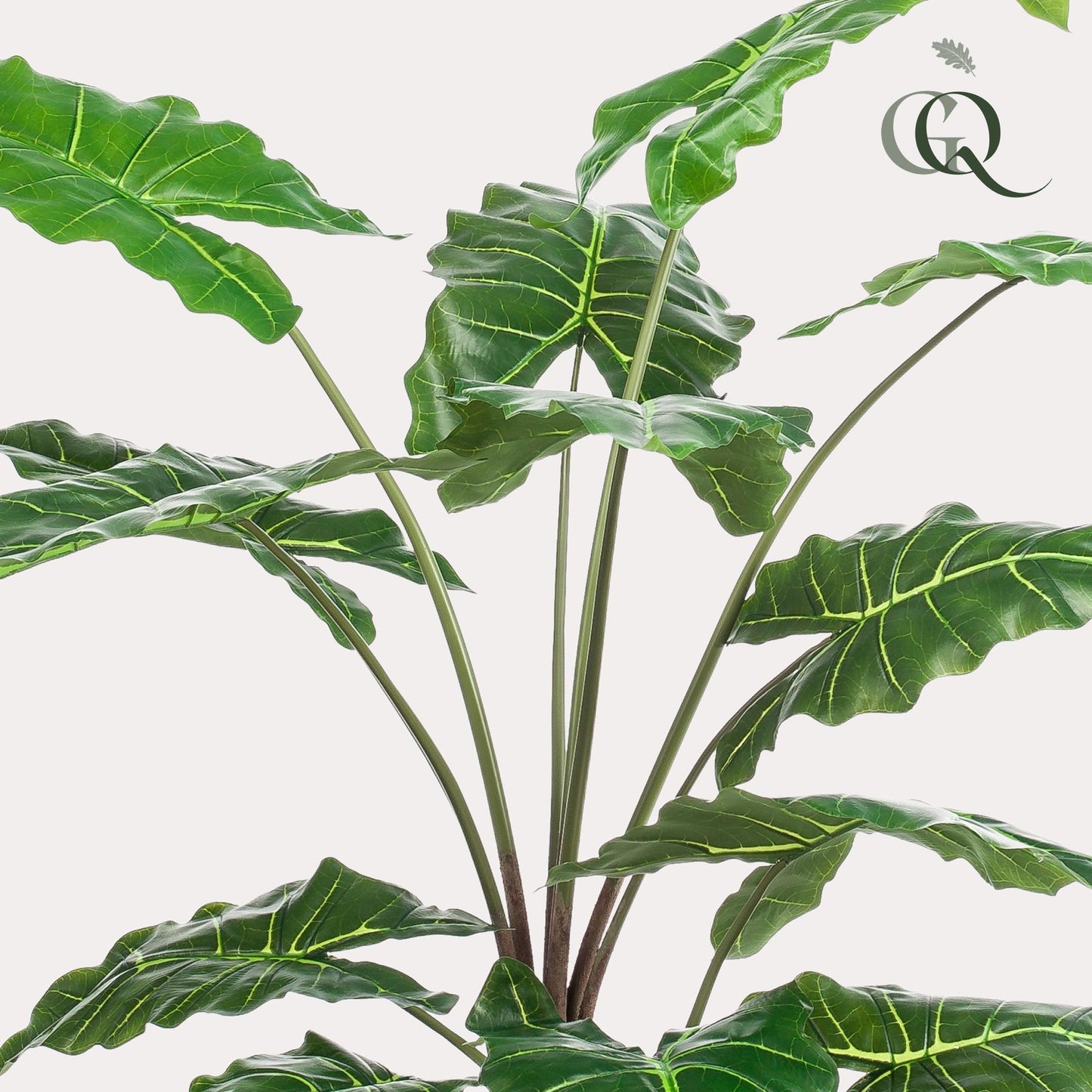 Alocasia - Olifantsoor | ↕150 cm - Kunstplant
