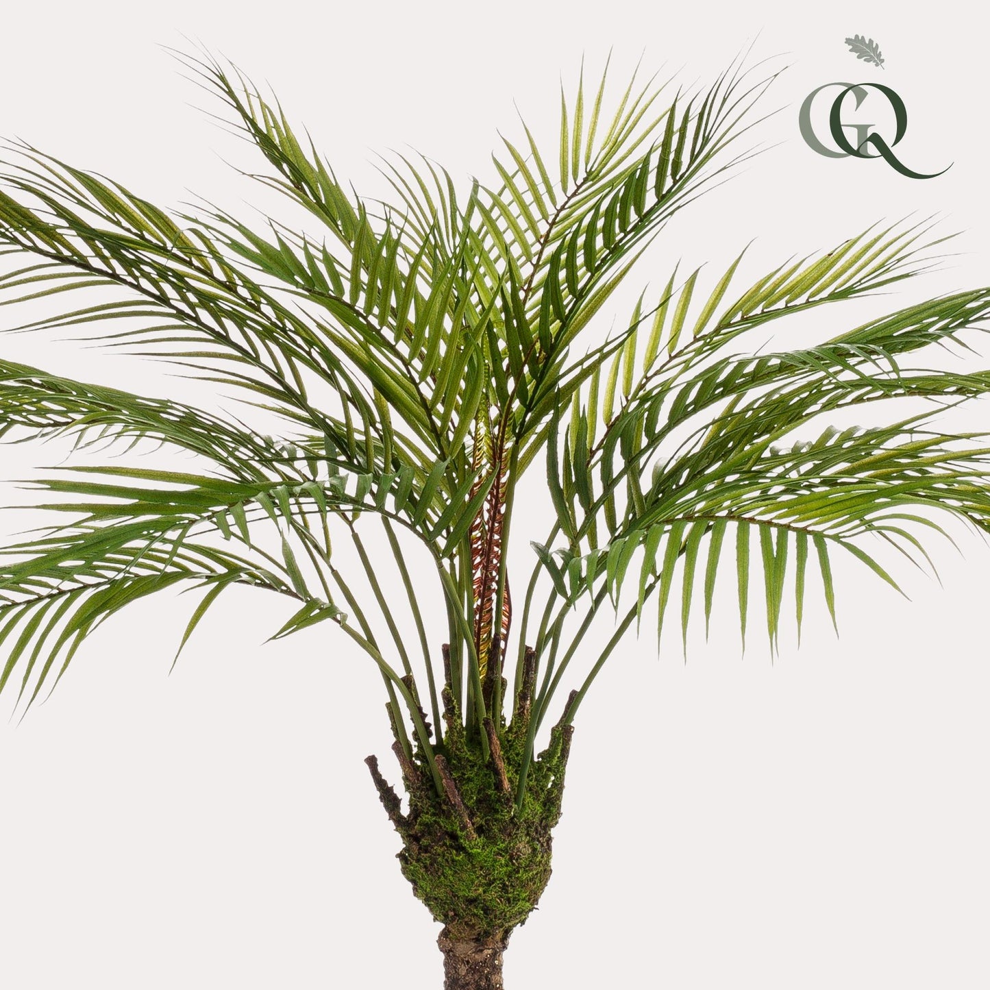 Chamaedorea - Bergpalm | ↕85 cm - Kunstplant