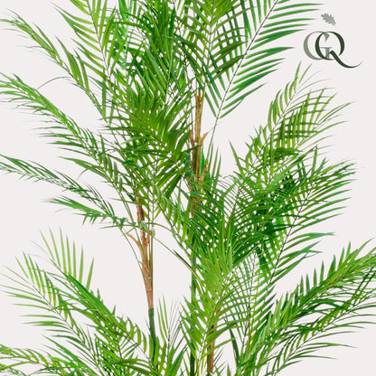 Chamaedorea Elegans - Bergpalm | ↕180 cm - Kunstplant