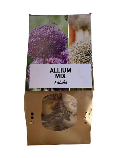 4x Allium Mix bollen