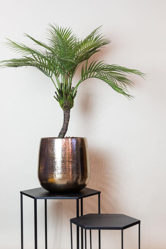 Chamaedorea - Bergpalm | ↕85 cm - Kunstplant