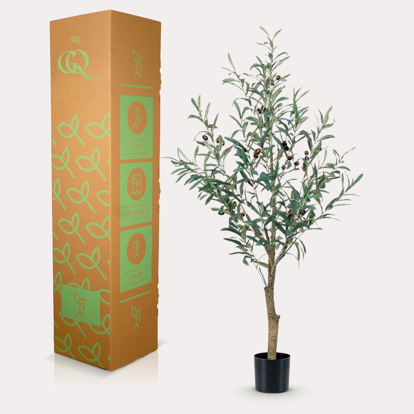 Olea europaea - Olijfboom | ↕115 cm - Kunst Olijfboom