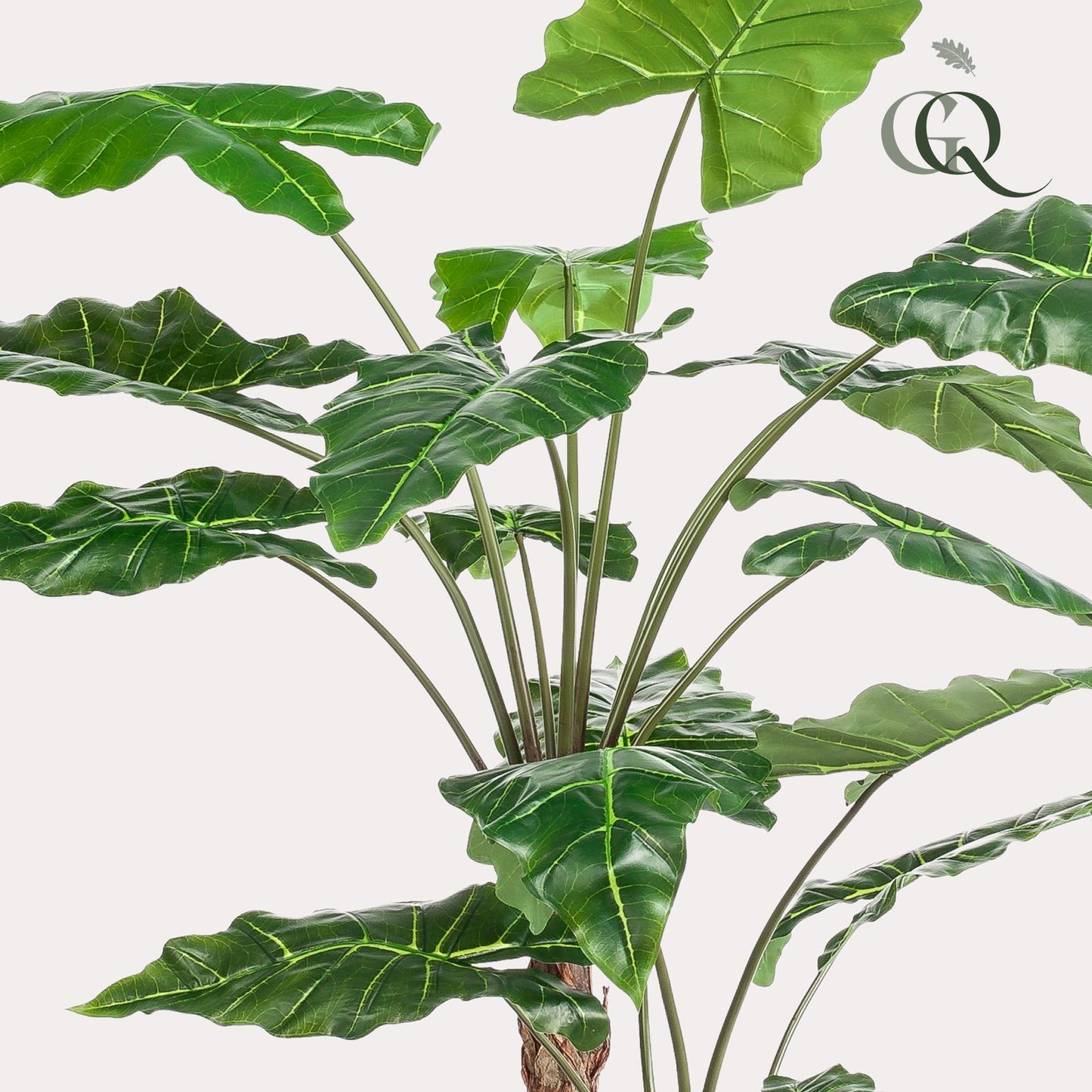 Alocasia - Olifantsoor | ↕180 cm - Kunstplant