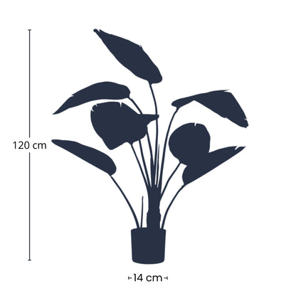 Strelitzia | ↕120cm - In zwarte pot - Kunstplant
