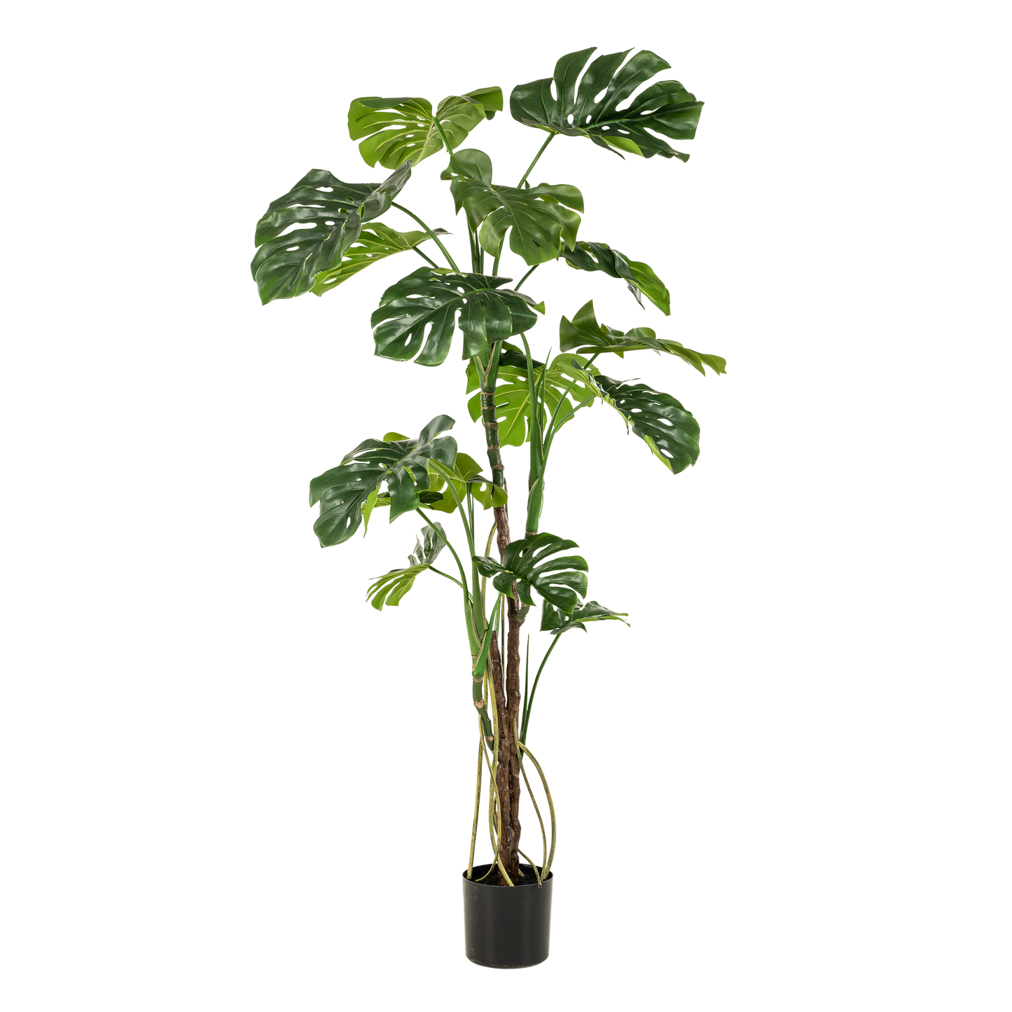 Monstera  - Gatenplant | ↕180cm - kunstplant
