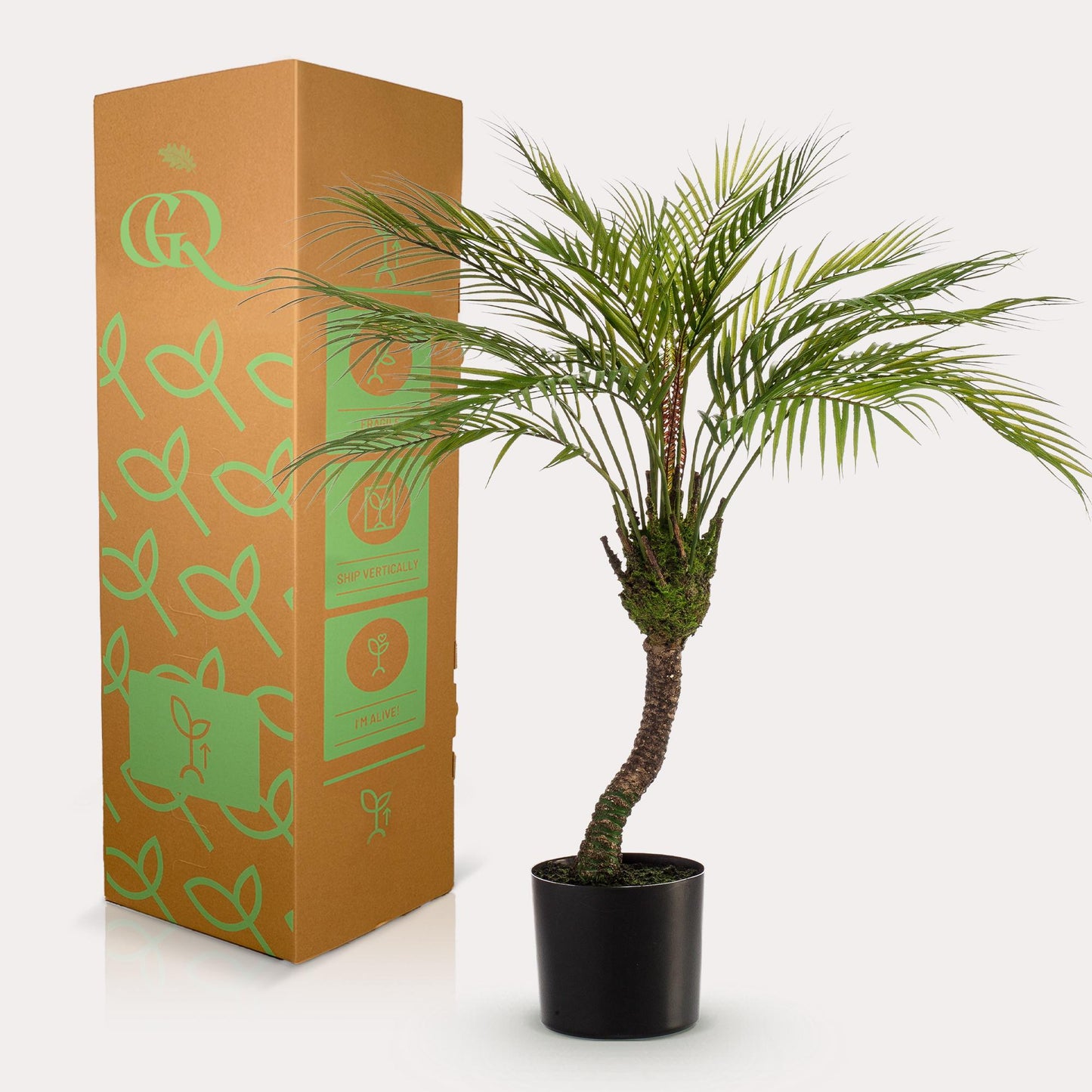 Chamaedorea - Bergpalm | ↕85 cm - Kunstplant