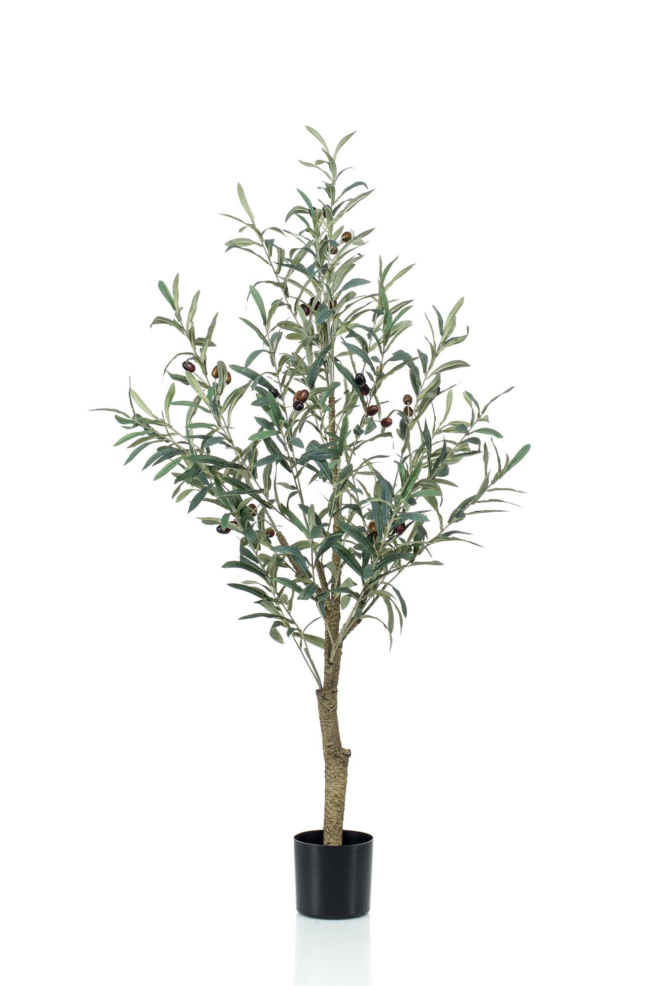 Olea europaea - Olijfboom | ↕115 cm - Kunst Olijfboom