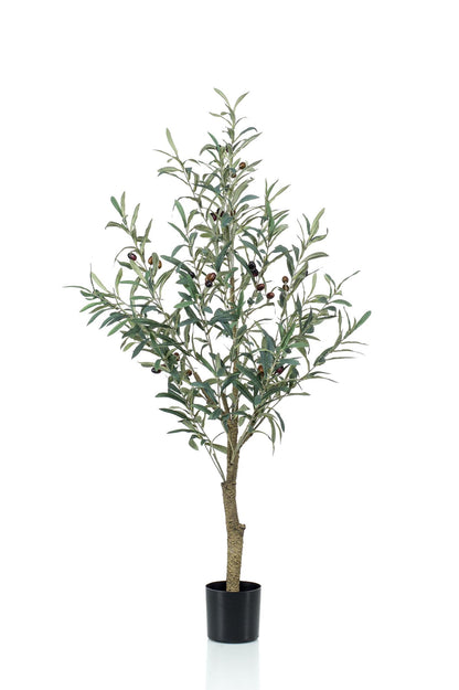 Olea europaea - Olijfboom | ↕115 cm - Kunst Olijfboom