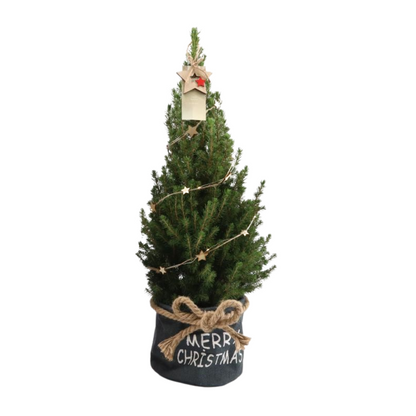 Kleine Kerstboom in Xmas Bag blauw - 70 cm - ster piek- inclusief batterijen